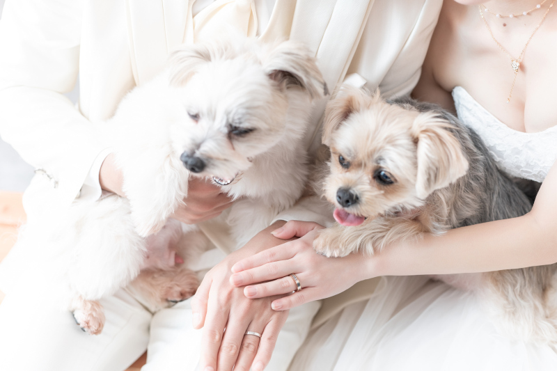 手を合わせて・・