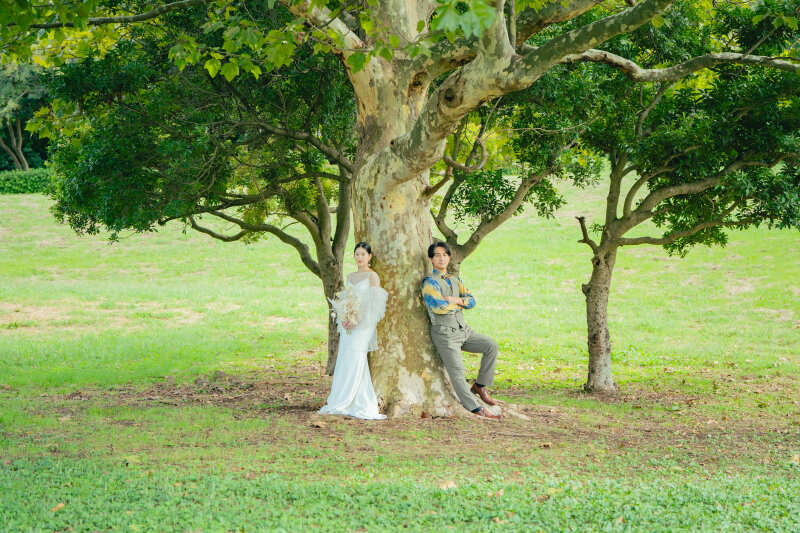 シンボルツリー