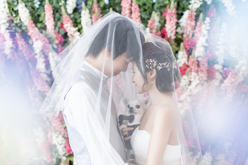 ベールに包まれて・・