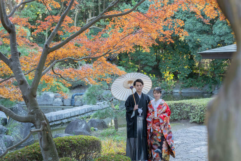 美しい紅葉