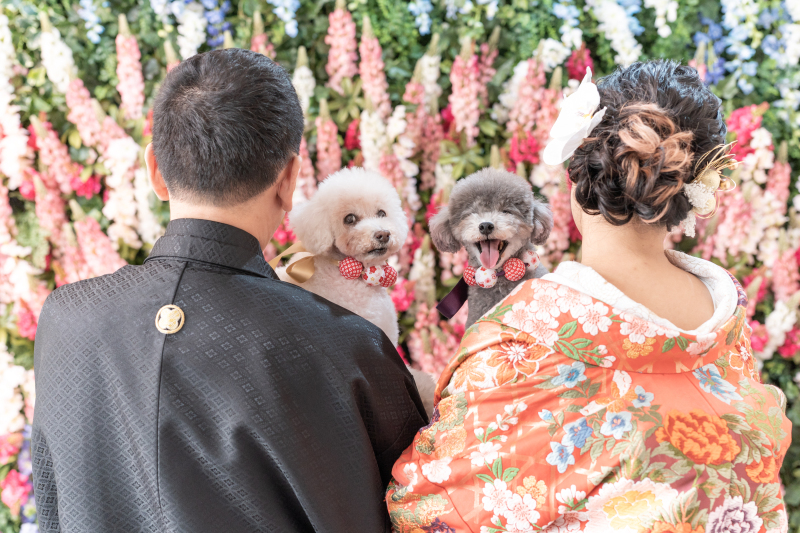 Dears Pictures CHIBA (ディアーズ・ピクチャーズ千葉)_ペットと一緒に撮影できる