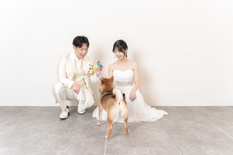 ★ペットと一緒に★【スタジオ洋装1着プラン】【11月キャンペーン】で基本料金58%OFF！