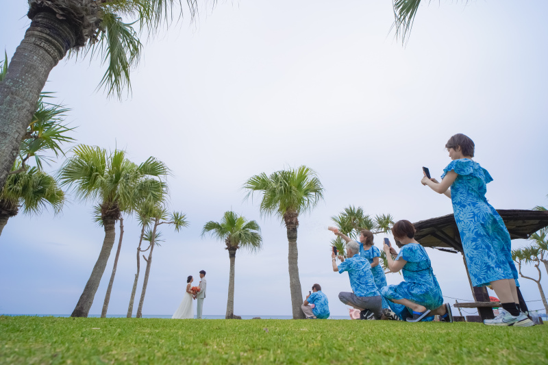 ヤシの木の下、見つめ合って