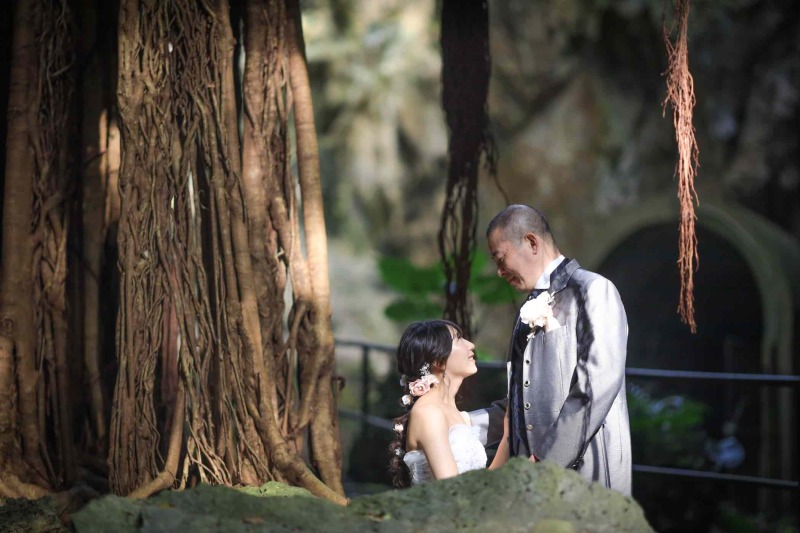 思い出のガジュマルの木下で撮影