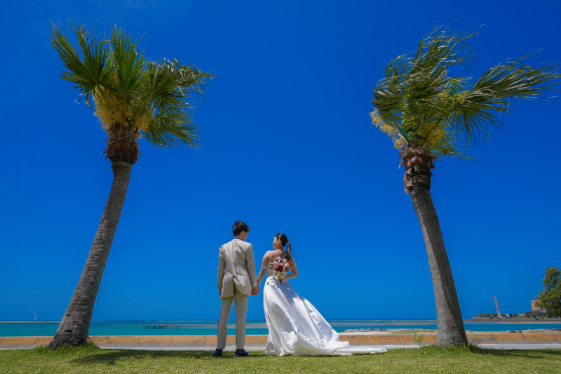 ヤシの木の下で