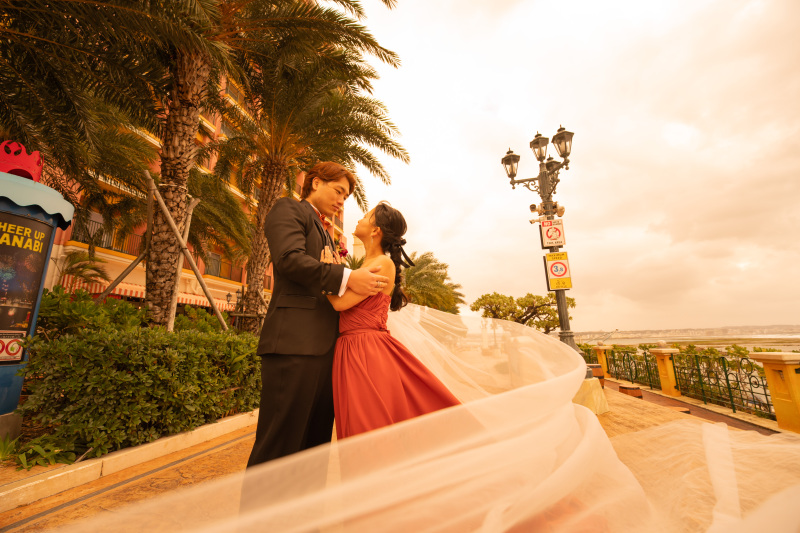 風に揺れるベール