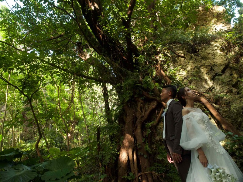 緑に囲まれて撮影スタート