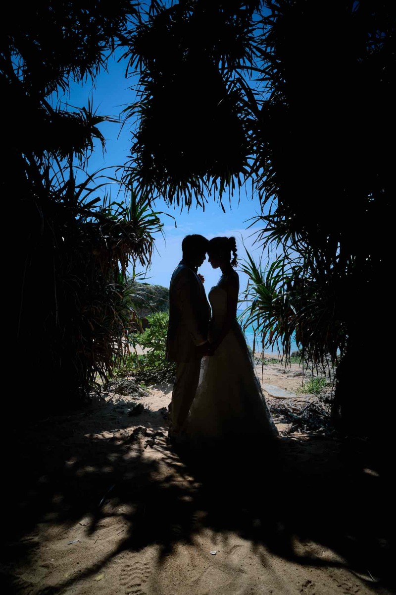 ザネー浜プラン