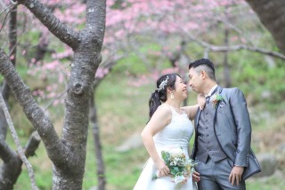 沖縄での桜とビーチ撮影