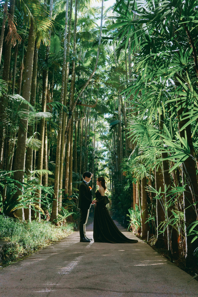 南国感あふれるヤシの木群撮影