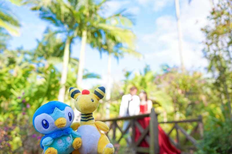 楽しげな締めカット