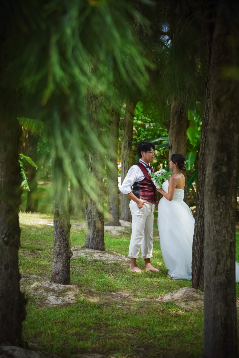 木々に包まれて