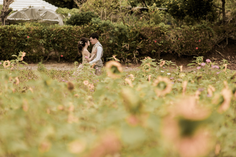 Walz Wedding_格安プランがある(3万円以下)