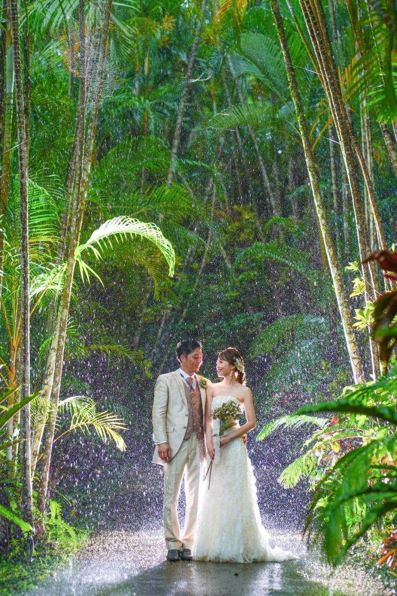 中々機会は訪れない雨撮影