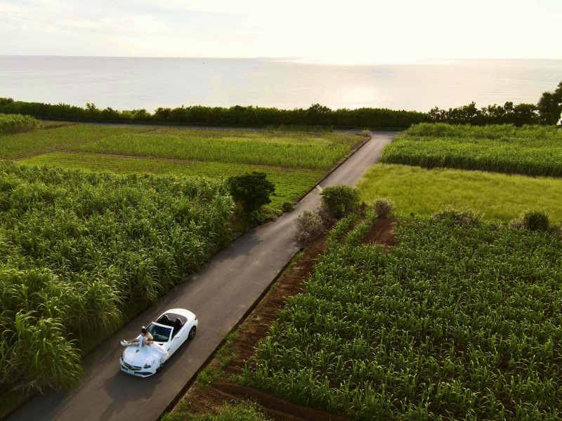 【 ムビフォトプラチナ】ドレス2着でオープニング動画を撮影希望の方におすすめ★写真250カット/ムービー2分30秒♪