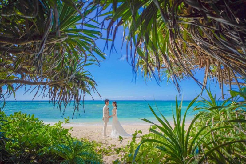 【ビーチ&グリーン撮影プラン】南国感じるビーチとグリーンでの撮影プラン♪