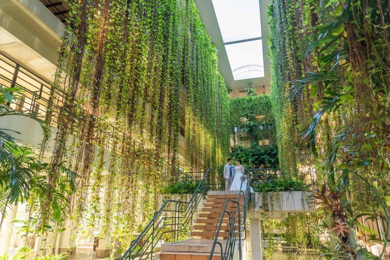 【ドレス2着/ムーンチャペル撮影プラン】★チャペル&ビーチ&グリーン(ドレス2着)¥162,000★ドローン撮影も付いてる♪