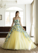 お取り寄せレンタル衣装173