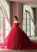 お取り寄せレンタル衣装144