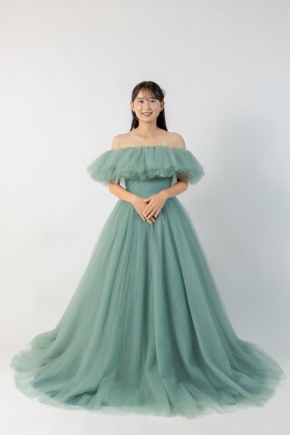 Ｃ１２（ダスティーグリーン）