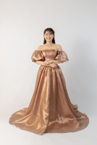 Ｃ４（ブラウンゴールド）