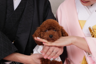 和装スタジオ撮影