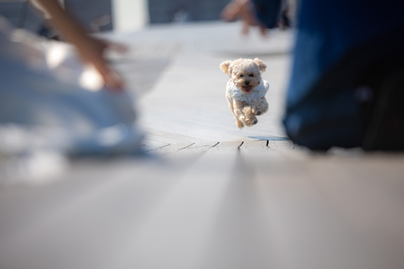 キャンペーン期間中につき今なら豪華特典が満載です！