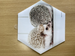 フォトジャケット