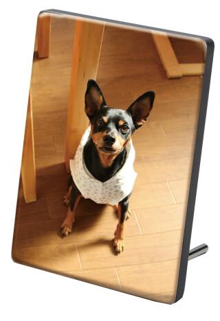 クリスタルパネルS