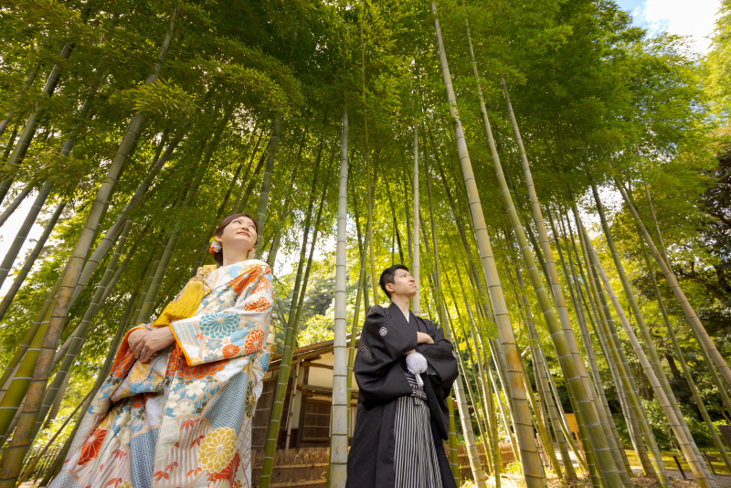 撮影スポット画像