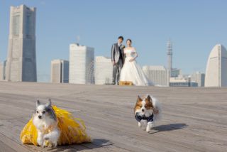 STUDIO Reir《スタジオレイル》_大さん橋【サンセット＆ナイト】