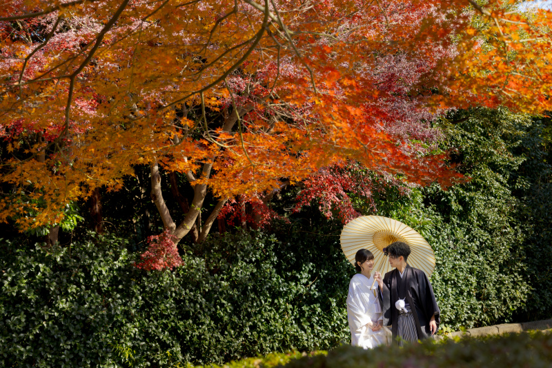 ②【三渓園】組数限定❁秋の紅葉ロケ❁★11/25㈫~12/10㈬★申請料&移動費込み・衣装追加料不要の安心プラン★豪華7大特典付