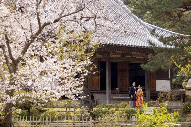 ⑫【三渓園】組数限定❀春のさくらロケ❀★3/25㈬～4/10㈮★申請料＆移動費込み･衣装追加料不要の安心プラン★豪華７大特典付き