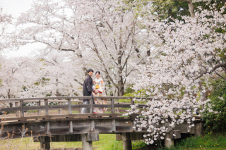 ⑫【三渓園】組数限定❀春のさくらロケ❀★3/25㈬～4/10㈮★申請料＆移動費込み･衣装追加料不要の安心プラン★豪華７大特典付き