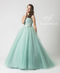 ＜ダリアプラン＞オリーブシェル