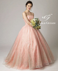 ＜ダリアプラン＞プリマピンク