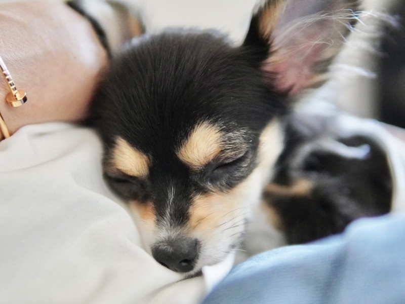 不安なことはなんでもご相談ください