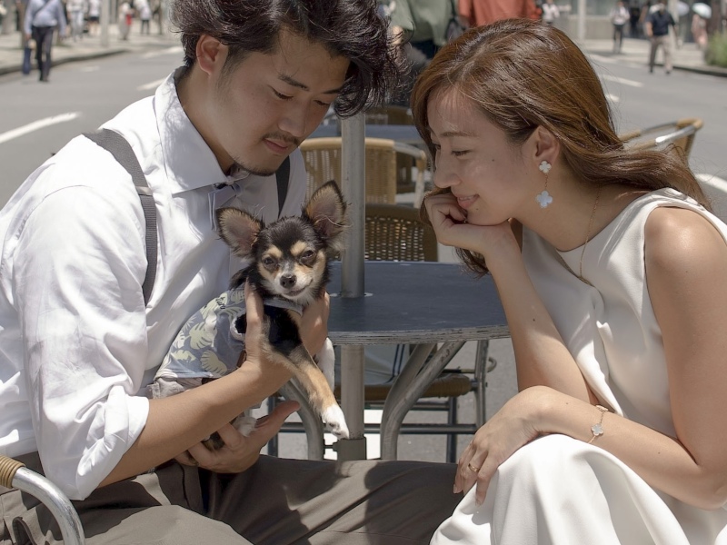 kelly's collection（ケリーズコレクション）_ペットと一緒に撮影できる