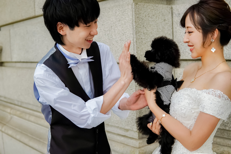 わんちゃんに気を遣った撮影をします！