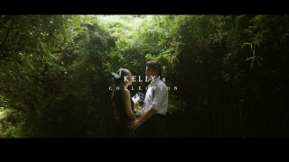 kelly's collection（ケリーズコレクション）_ドローンを使用したムービー＠城ヶ島