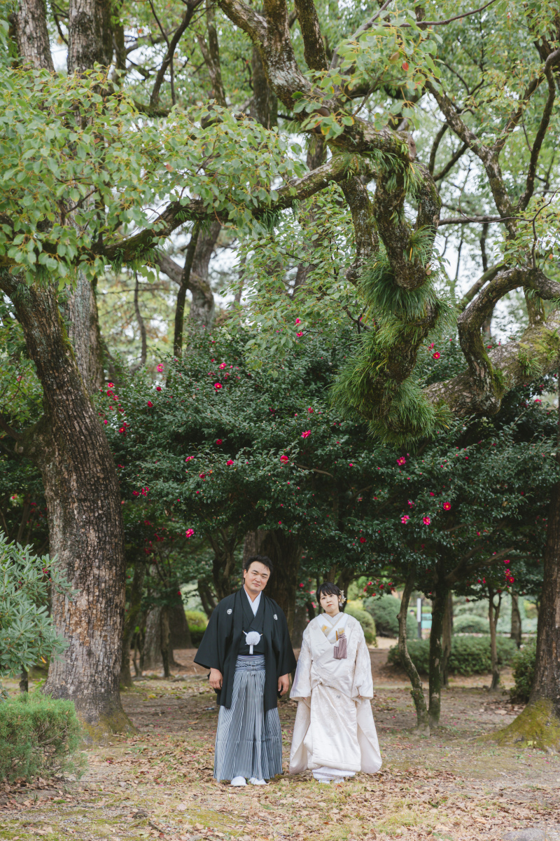 グリーンとポイントの赤