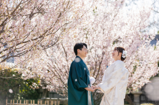 桜ロケーション