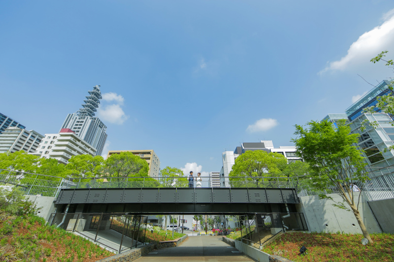 橋と青空