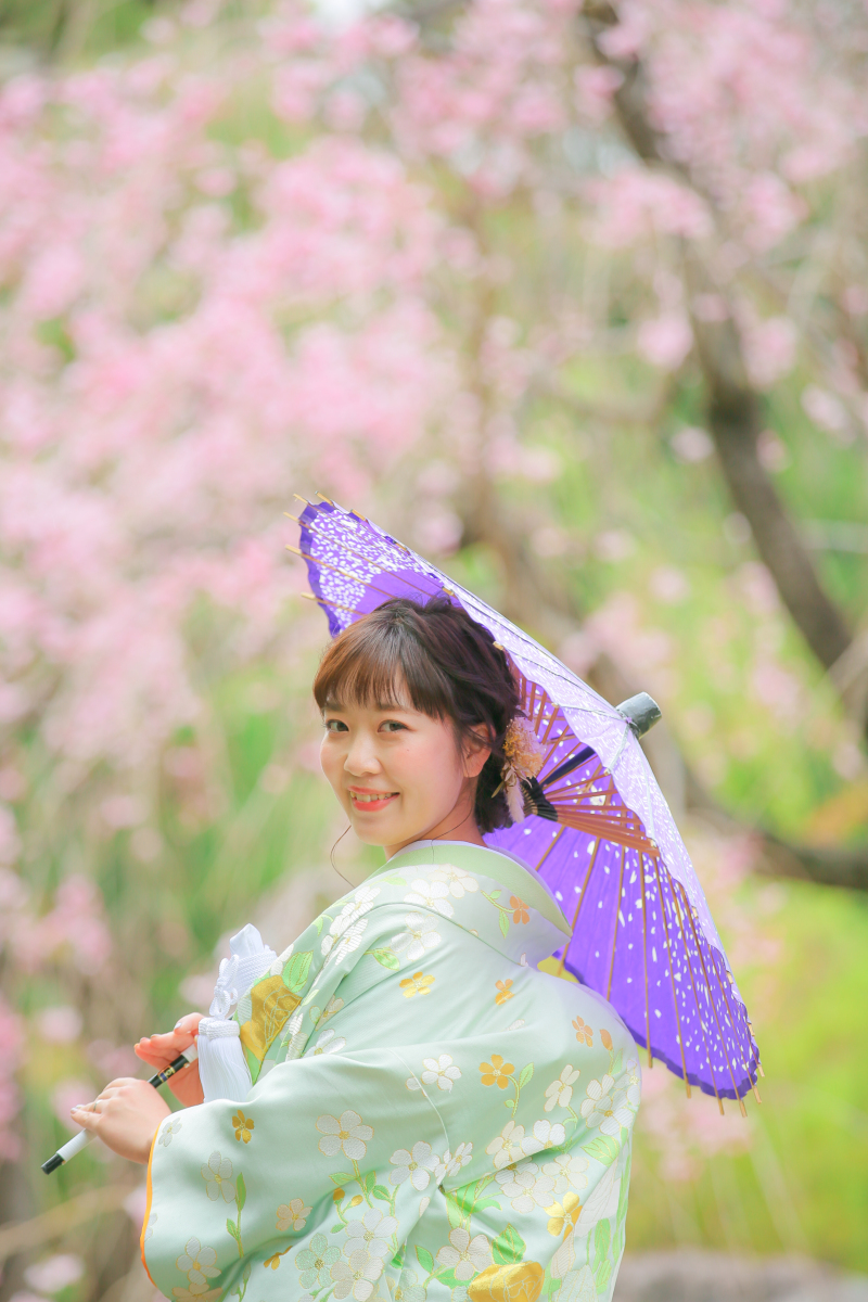 徳川園のしだれ桜