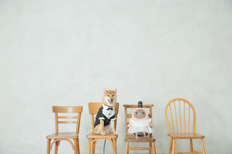 ラボット✖️わんこ