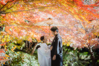 紅葉の日本庭園