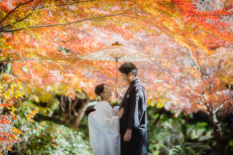 紅葉の日本庭園