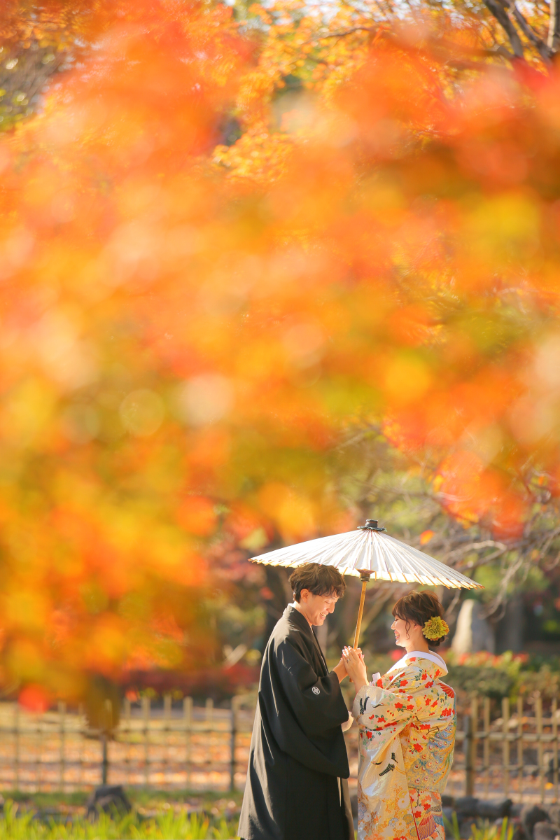 光の入り方も◎