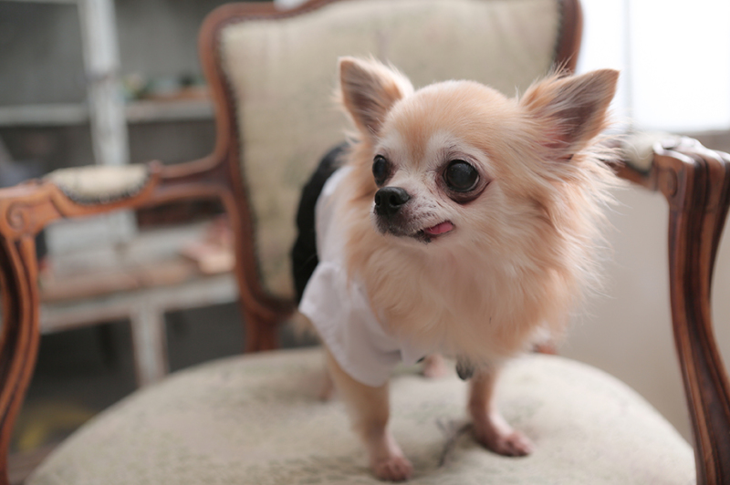 ついつい撮りがちなソロカット(笑)