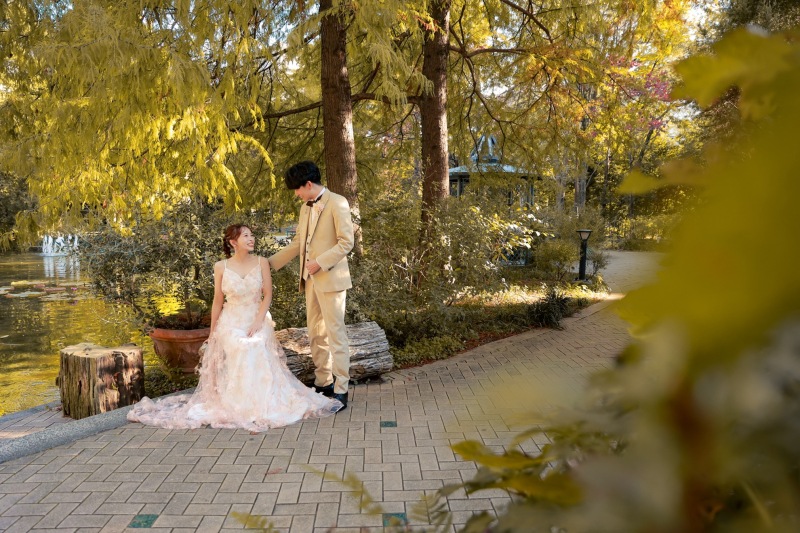 黄色く色づいた葉っぱと